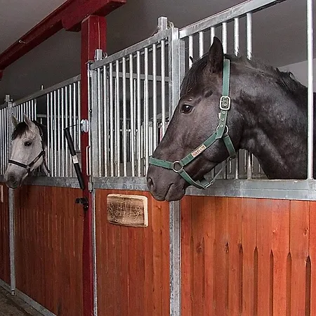 Vecsecity Ξενοδοχείο 4*